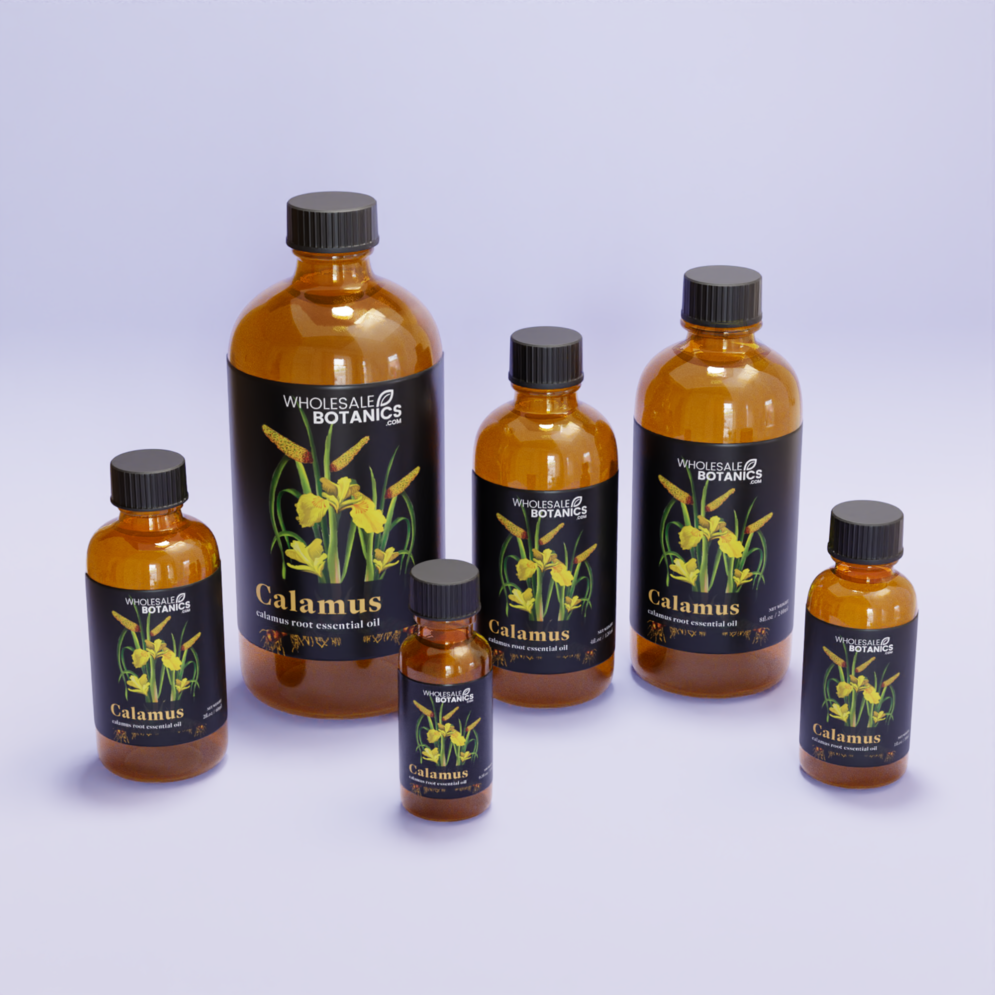 Calamus Essential Oil