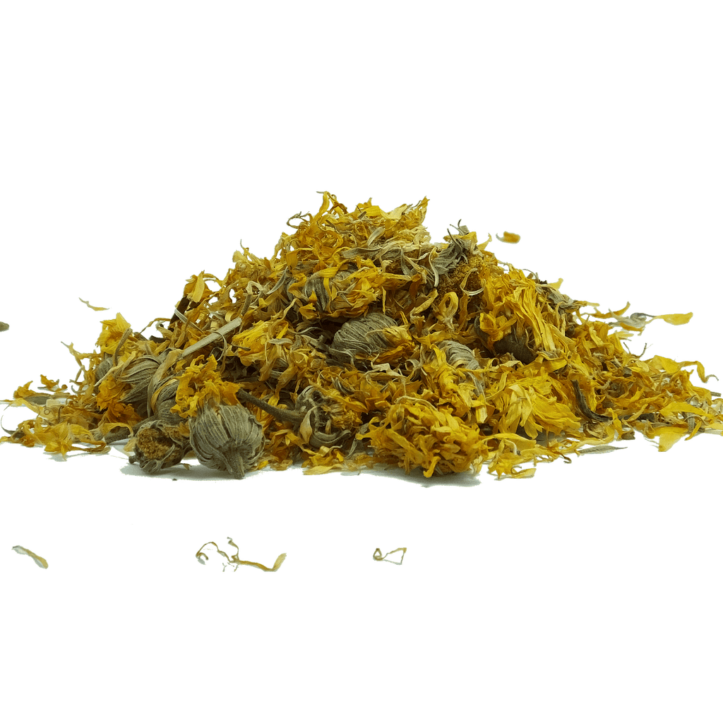 Calendula Flower