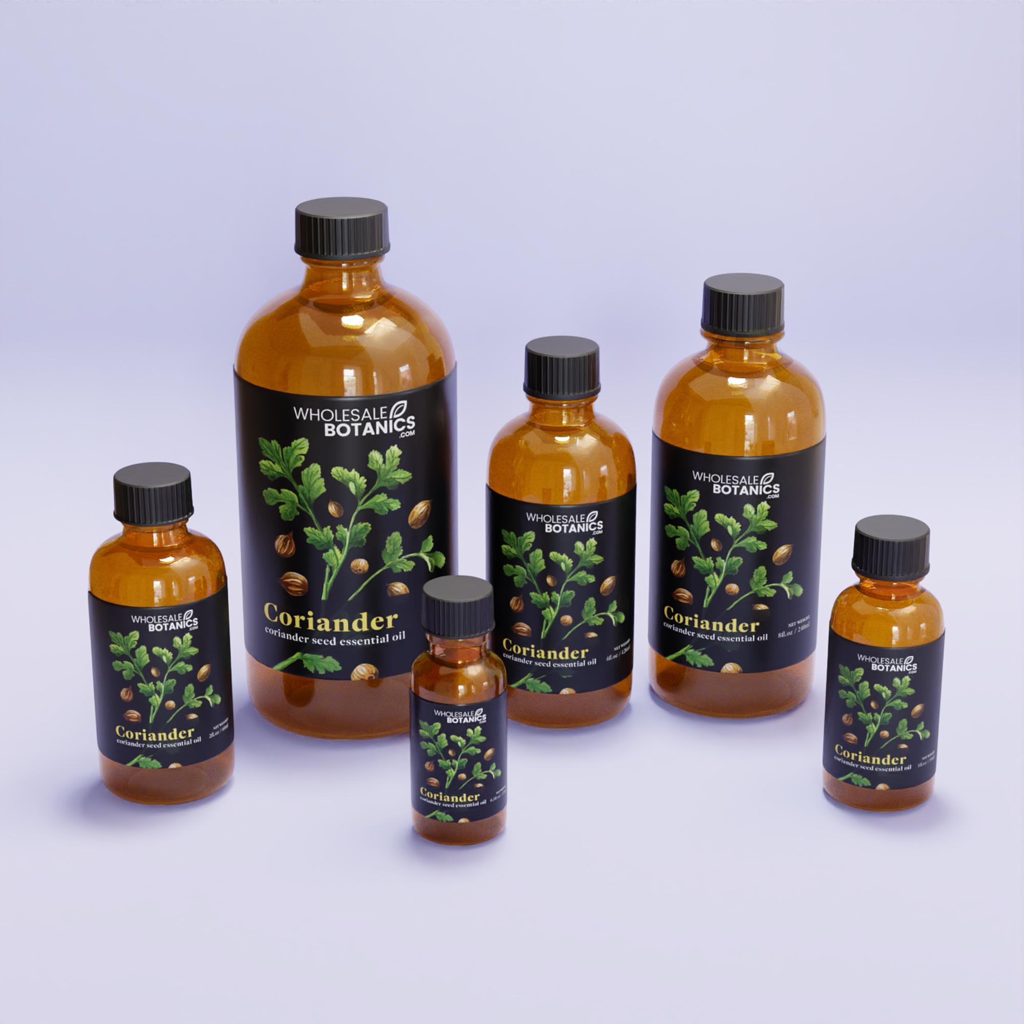 Coriander Essential Oil