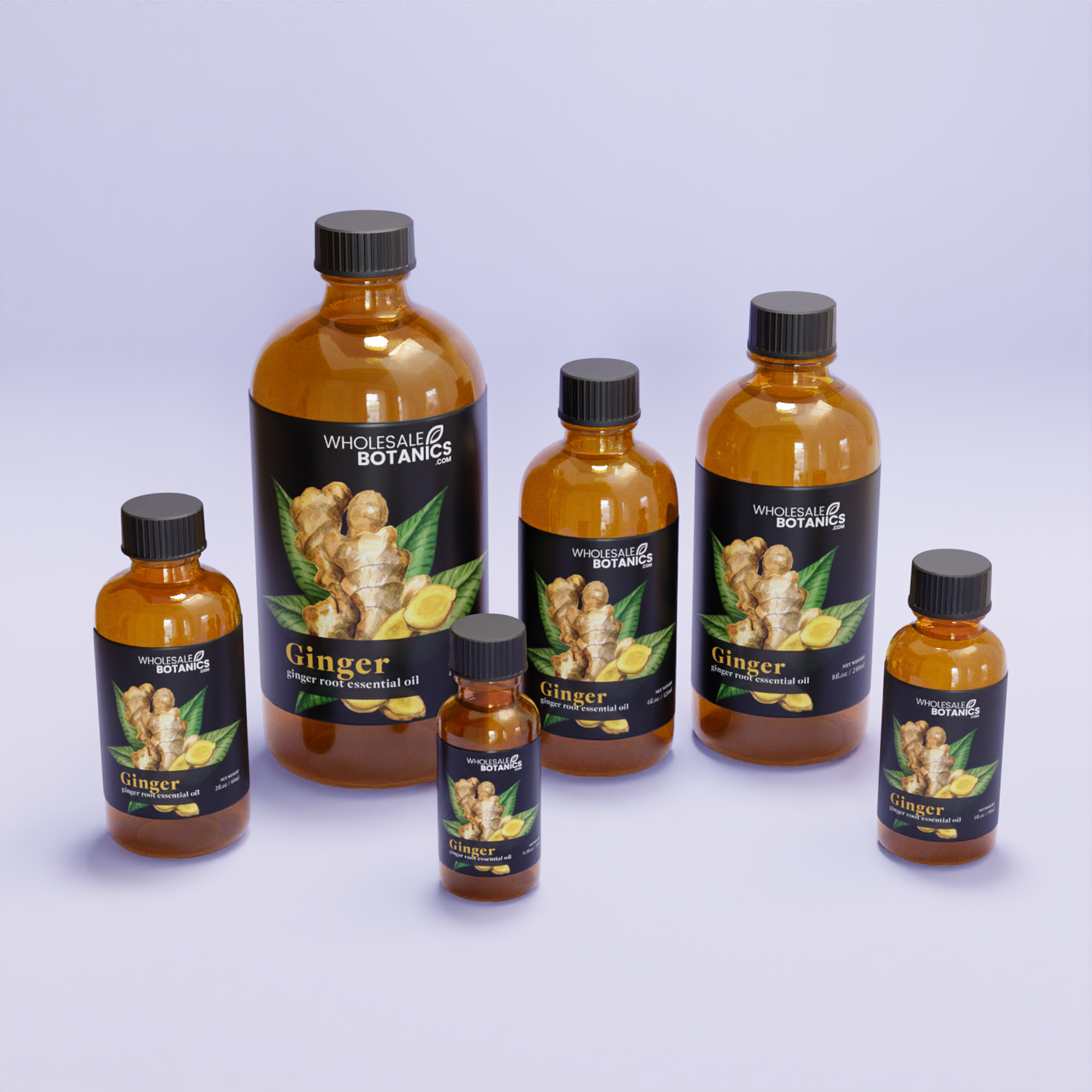 Ginger Root Essential Oil