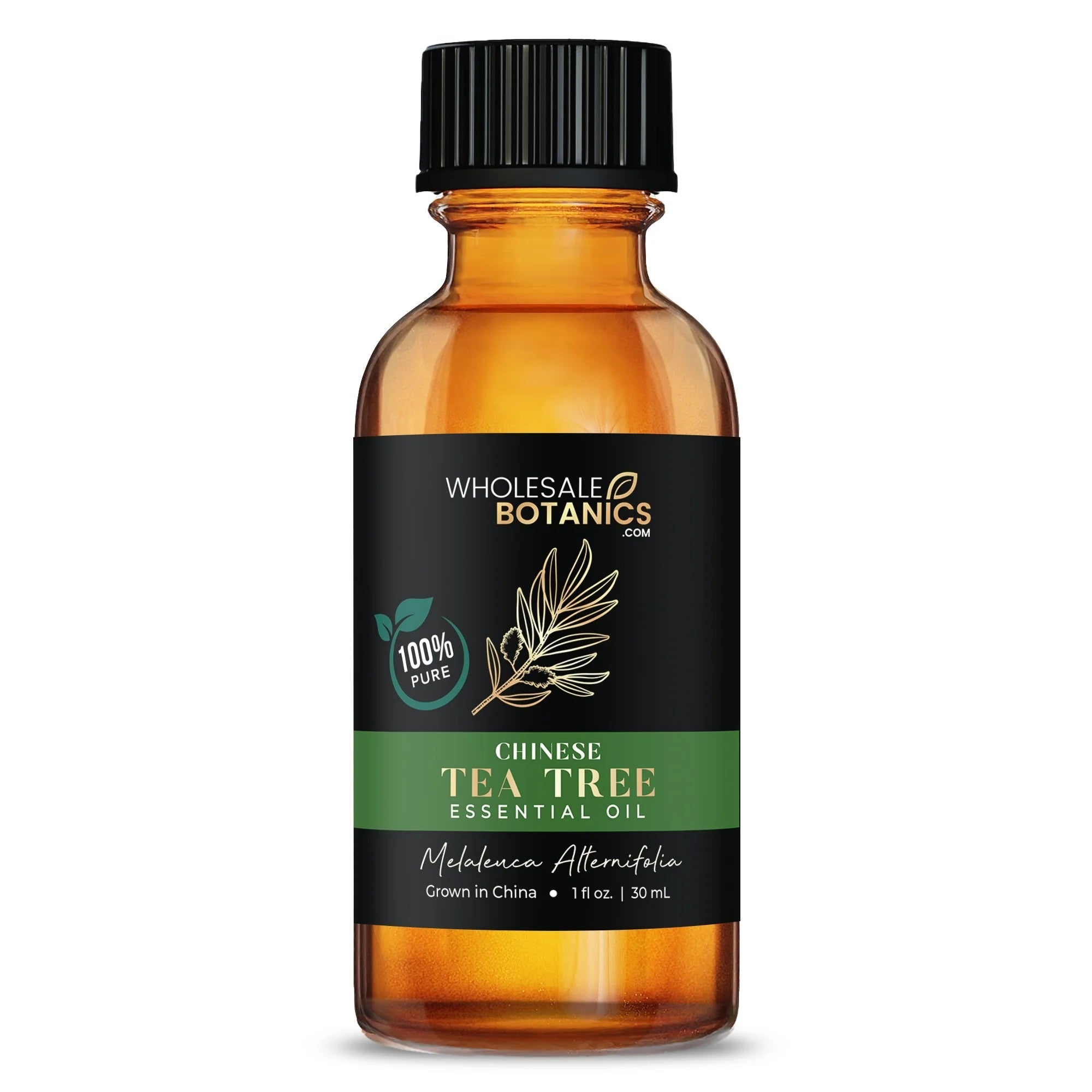 Most Popular Essential Oils Sample Kit